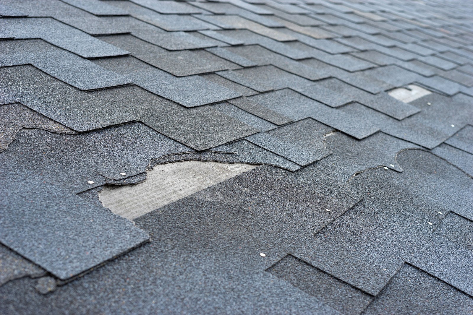 Storm-damaged shingles on a roof
