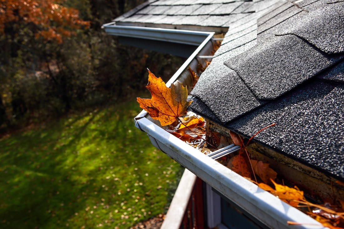 A gutter filled with autumn leaves below a shingled roof